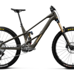 Orbea WILD LT M-TEAM RS Magic Gold C. View (Mat) - Titan Goud (Glans)