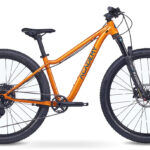 Academy Trail 7 RH38 Amber