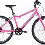 Academy Grade 5 riem Roze