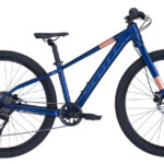 Scott Scale 600 clematis blauw (2025)
