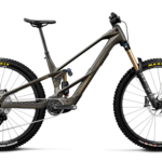 Orbea WILD LT M10 Magic Gold C. View (Mat) - Titan Gold (Glans)