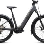 Cube Reaction Hybrid Race 800 FE Easy Entry slabgrey´n´chrome (2027)