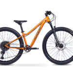 Academy Trail 7 RH33 Amber