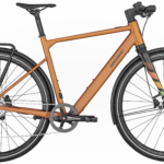 Bergamont E-Sweep Sport Diamant 250 Unisex mat roestig oranje