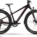 Raymon Nayta 26 Pro Street floridplum
