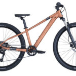 Scott Roxter 600 legering bruin (2025)