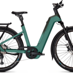 Kalkhoff ENTICE 5+ EXCITE ABS Wave 800 mineralgreen / huntsmengreen mat